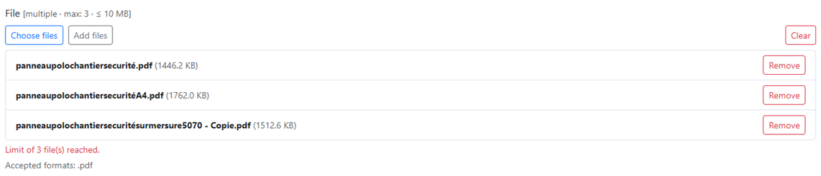 File upload field with limits